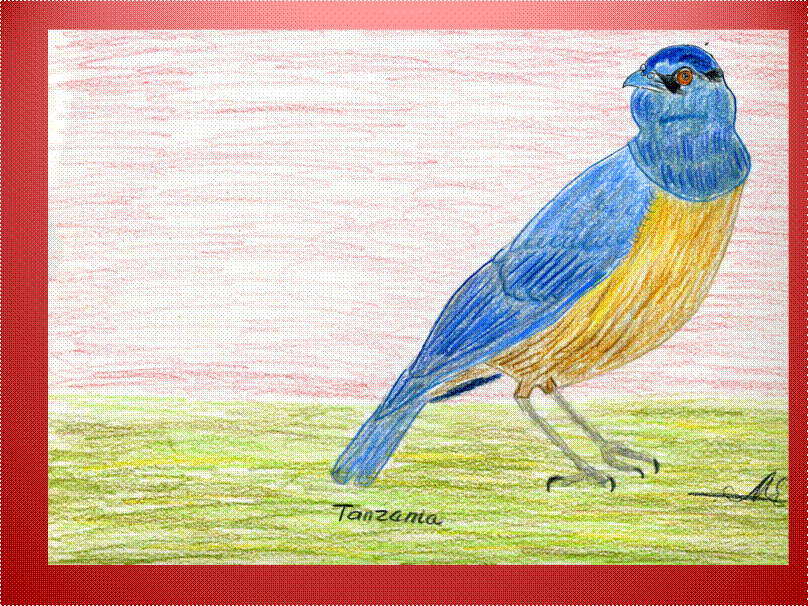 image002 image002
