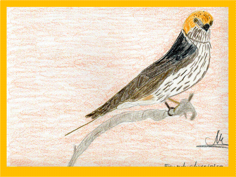 image002 image002