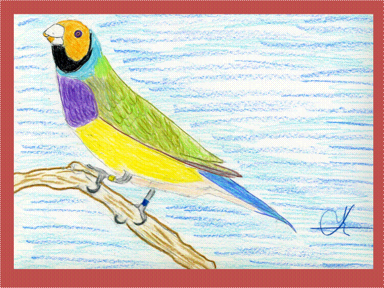 image002 image002
