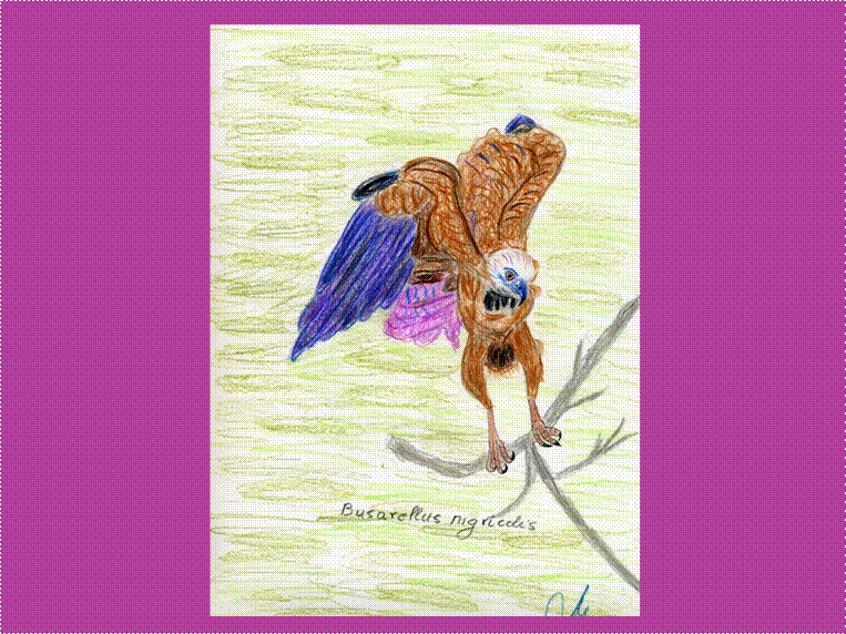 image002 image002