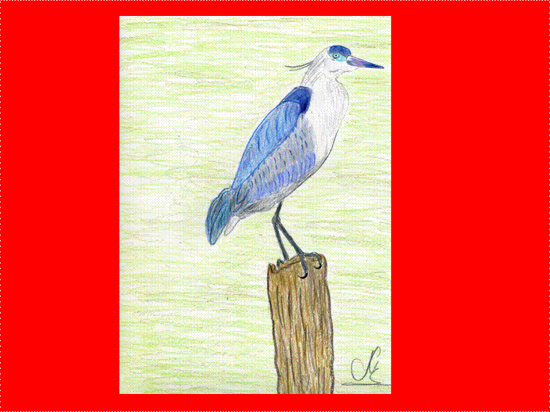 image002 image002