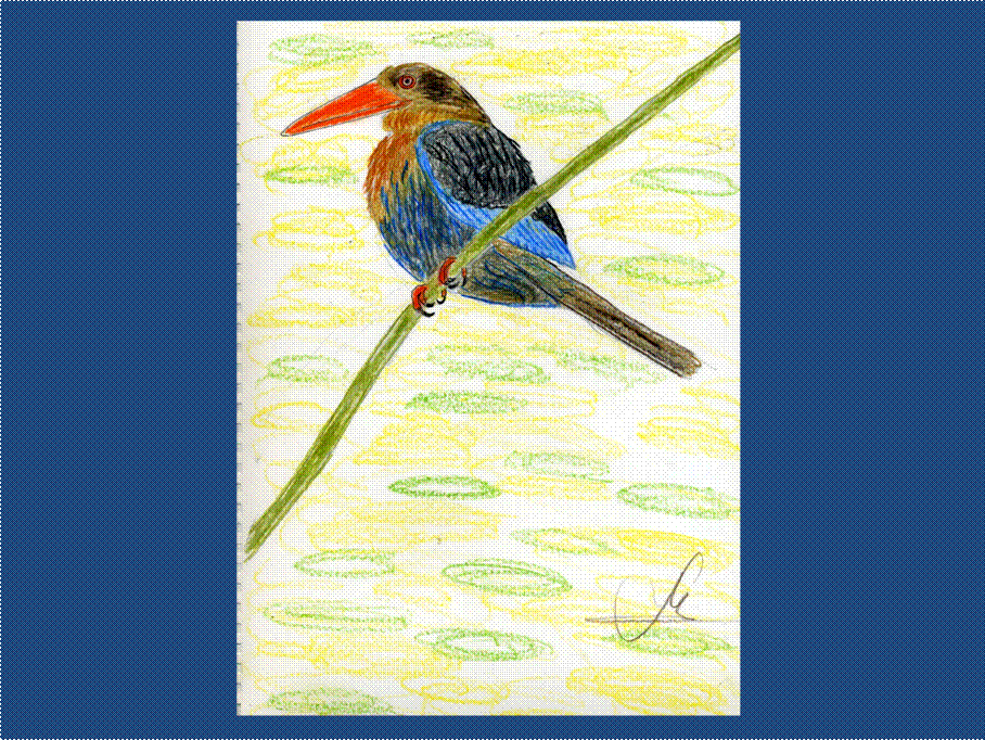 image002 image002