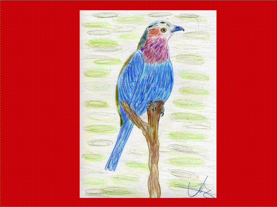 image002 image002