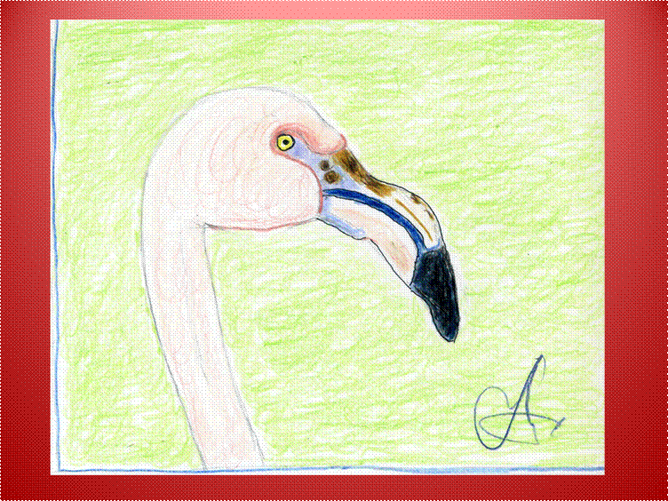 image002 image002