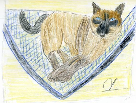 image002